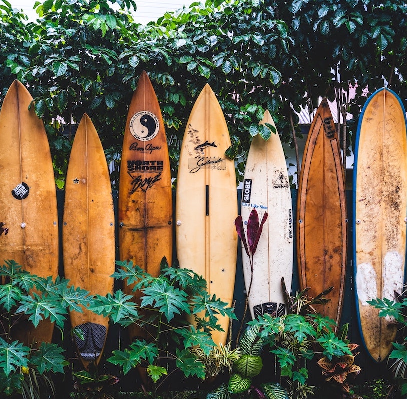 a bunch of wooden surf boards standing up against dark green ivy.