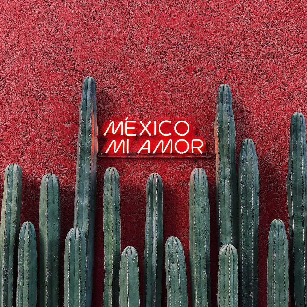 The Ultimate Guide to Ecotourism in Mexico