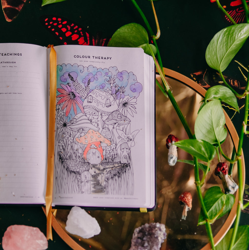 6-Week Intention Journal (for microdosing)