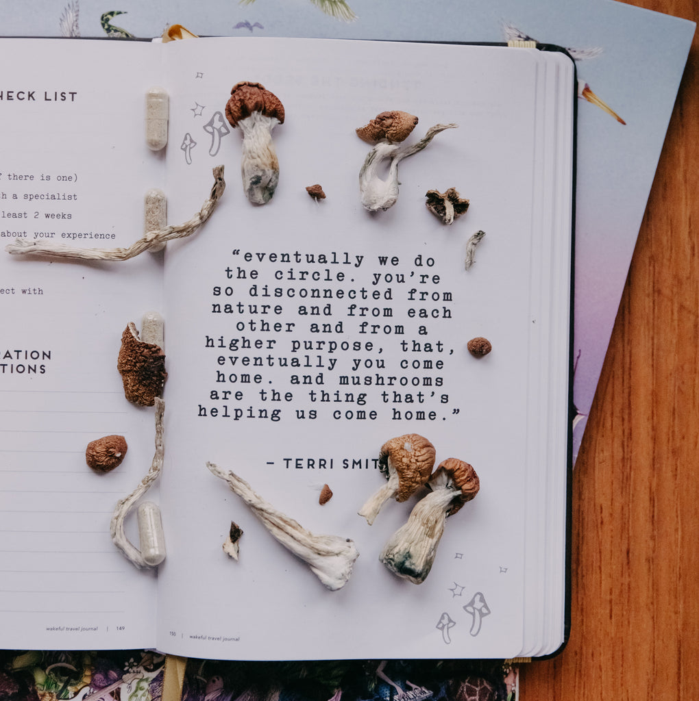 6-Week Intention Journal (for microdosing)