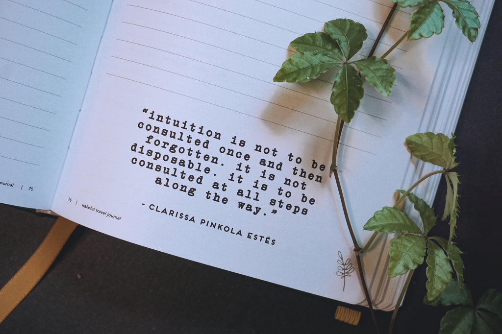 6-Week Intention Journal (for microdosing)