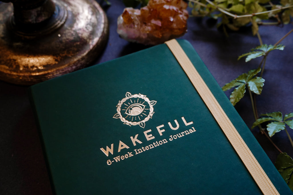 6-Week Intention Journal (for microdosing)